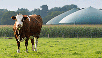 Biogasanlagen: Beschallung der aktiven Bakterien­-Biomasse aus dem Fermenter oder Nachgärer mit Ultraschall